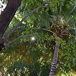 Lobo Bed and breakfast Tulum
