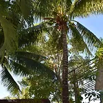 Bed and breakfast Lobo