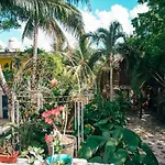Lobo Bed and breakfast 2*