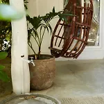 Roc Luxe 5* Tulum