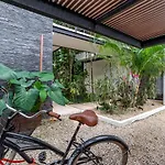 Loft Laurel Plunge Pool , Wifi, A/C, Parking