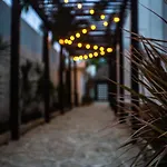 Howlita - Adult Only Hotel