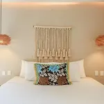Eco-designed & Nature-infused Units By Stella