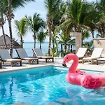Mansion In Soliman Bay For 34 Guests! Tulum