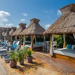 Naay Curamoria Collection 4*