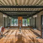 Deluxe Jungle Studio Terrace Xp15