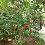 Hotel & Gardens