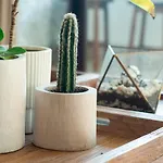Apartamento Omara
