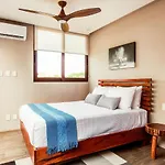 Eco-designed & Nature-infused Units By Stella Apartamento