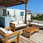 Rosa Azul 4*