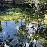 Charming Jungle Gem W/ Private Pool
