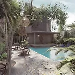 Estudio Holistico En Tulum