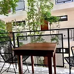 Estudio Holistico En Tulum