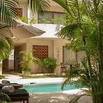 Niwa 4*