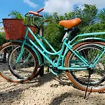 Vida Jungle Apart 7 With Special Fee To Access Hotel Bardo