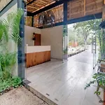 Private Pool & Terrace With Scenic Jungle View - Bungalow 219