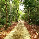Selva De Luz Jungle Cottage