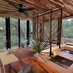 Cubo Invisible En La Selva