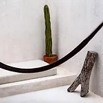 Villa 8 Bedrooms In Tulum