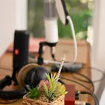 Apartahotel Studio