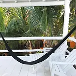 Coco 2*