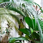 Zendero Hotel 4*