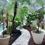 Zendero 4*
