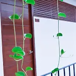 Zendero 4*