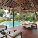 Modern Urban Jungle With Luxury Mayan Style