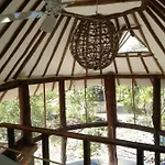 Exotic Eco House In Jungle With Private Cenote