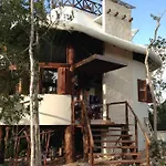 Exotic Eco House In Jungle With Private Cenote
