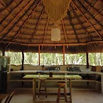 Unique Jungle Dome Ha With Kitchen
