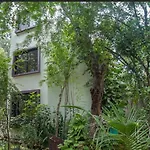 Avalon Tulum