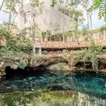 The Relaxation Paradise