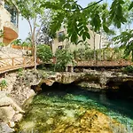 The Relaxation Paradise