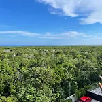 Ova * Tulum