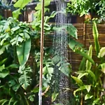 Zen Canto Tuuch :: May The Jungle Be With You