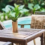Zen Canto Tuuch :: May The Jungle Be With You Tulum