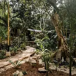 Zen Canto Tuuch :: May The Jungle Be With You Сasa de vacaciones