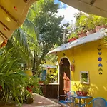 Maison Hotel 3*
