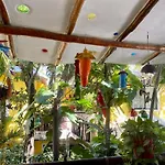 Maison 3*