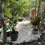 Selvaluna Cabana Eco-Chic