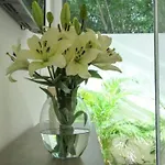 Apartment Aqua De Sal 01 Private Casa At Aldea Zama Sleeps 5