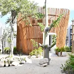 Seremonia Selva By The Spot Rentals
