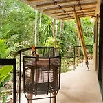 Сasa de vacaciones Zen Canto Tuuch :: May The Jungle Be With You *