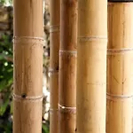 Сasa de vacaciones Zen Canto Tuuch :: May The Jungle Be With You Tulum