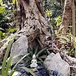 Zen Canto Tuuch :: May The Jungle Be With You Сasa de vacaciones