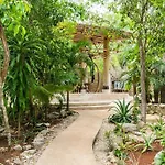 Сasa de vacaciones Zen Canto Tuuch :: May The Jungle Be With You