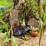 Zen Canto Tuuch :: May The Jungle Be With You *