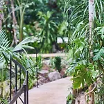 Zen Canto Tuuch :: May The Jungle Be With You *